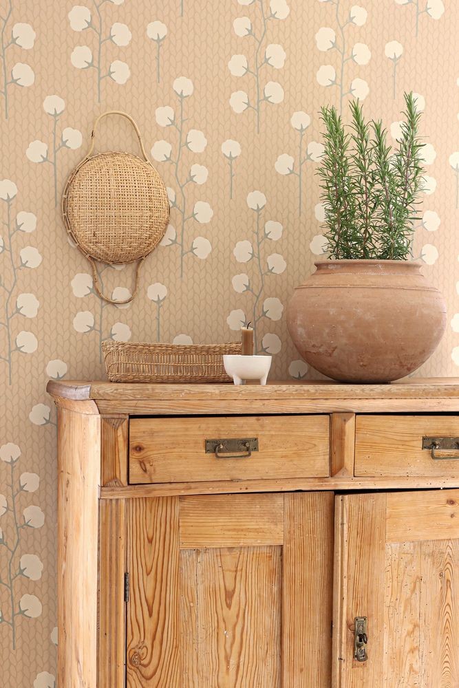 Afbeeldingen van Sweet Cotton Desert rose - 169-01